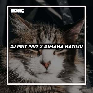 DJ PRIT PRIT X DIMANA HATIMU INS