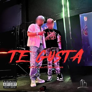 Te Gusta (feat. Fuego en Vivo) [Explicit]