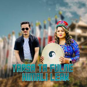 Yarsata Fulne Himali Leak