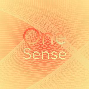 One Sense