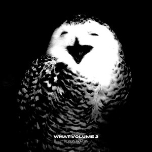 what (Intro)