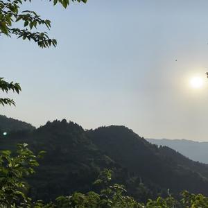 这城市风总是很大封面