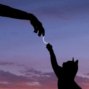 Call Of Silence (钢琴空灵版)