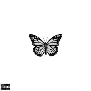 Butterfly (feat. Stylin Sober) (Explicit)