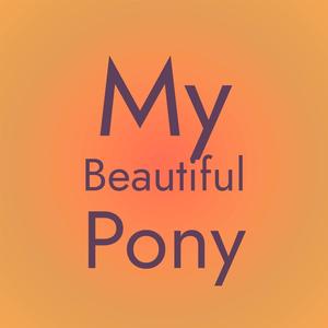 My Beautiful Pony