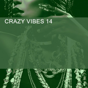 CRAZY VIBES 14