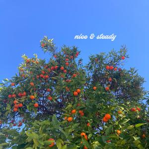 Nice & Steady EP (Explicit)