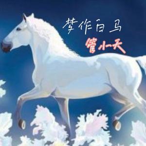 梦作白马BGM 伴奏封面