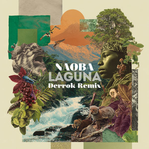 LAGUNA (Derrok extended remix)