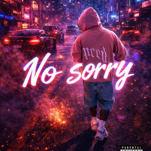No Sorry (Explicit)
