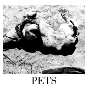 Pets (feat. Sun Organ) (Explicit)