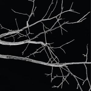 Désastre (Explicit)