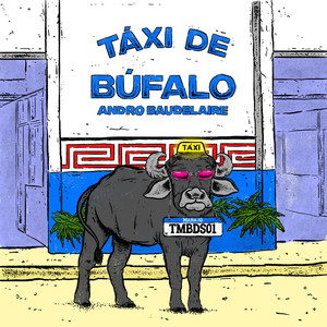 Táxi de Búfalo