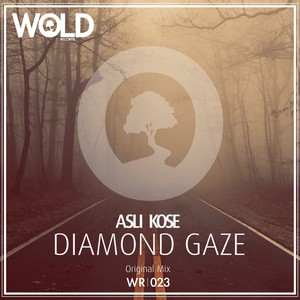 Diamond Gaze (Original Mix)