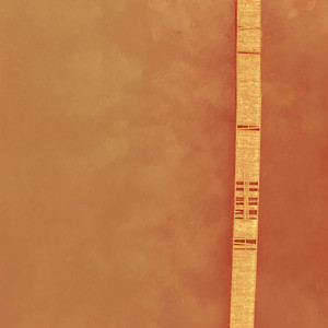 夏微之 - 泪桥 (1.2x版)