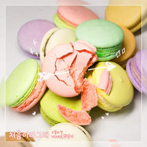 처음이라 그래 (因为是第一次才这样) (Vocal. 박현아)