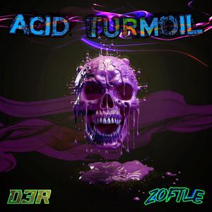 Acid Turmoil (feat. DaRoost3R)