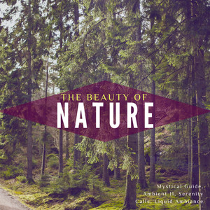 The Right Path (Original Mix)
