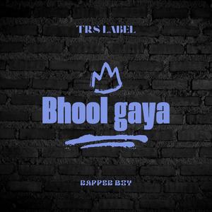 Bhool gaya