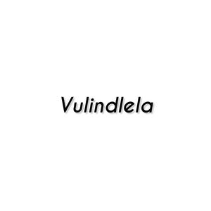 Vulindlela #brendafasi #iconicafrobeat
