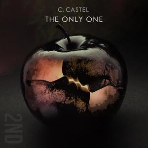 The Only One (feat. Meghan Montenegro) (Radio Edit)