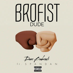 Brofist Dude (feat. Spandan) (Explicit)
