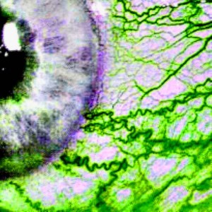 VR (prod. by Klinkin) (Explicit)