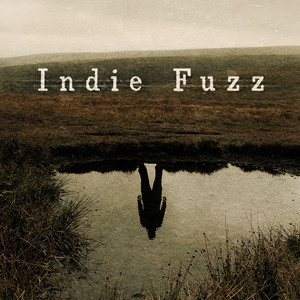 Indie Fuzz