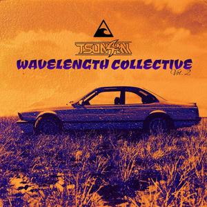 Wavelength Collective Vol. 2 (Explicit)