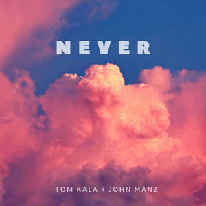 Never (Original Mix)