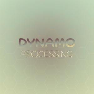 Dynamo Processing