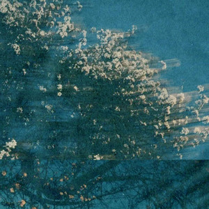 Which One (Instrumental)