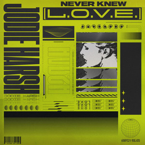 Never Knew (L.O.V.E.)