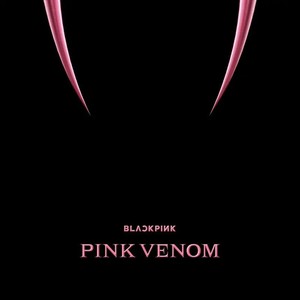 Pink Venom(cover:BLACKPINK)