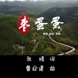 枣蛋蛋