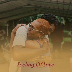 Feeling of Love (Explicit)