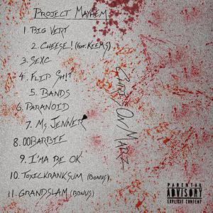 Project Mayhem (Explicit)