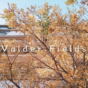 Valder Fields