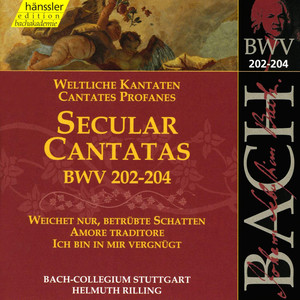 Ich bin in mir vergnugt, BWV 204 - Aria: Meine Seele sei vergnugt (Soprano)