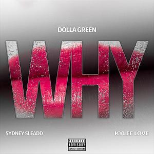 Why(feat. Sydney Sleadd & Kylee Love) (Explicit)