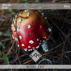 Fungi (Original Mix)