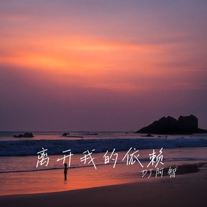 离开我的依赖 (DJ版)