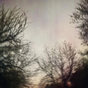 don't need help. (joituz)