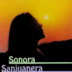 Sonora Sanjuanera