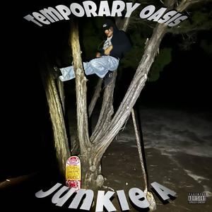 ANNA FRANK (feat. Yung Davii) (Explicit)