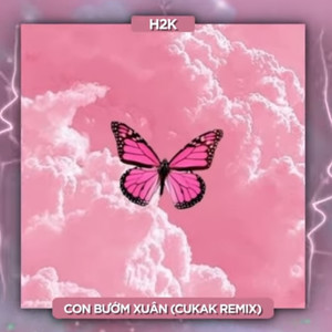 Con Bướm Xuân (Remix)