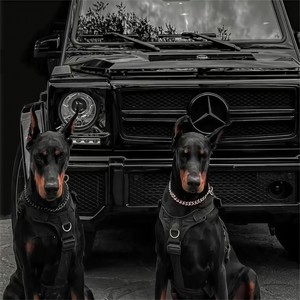 怡然自得 (DJ旋律)