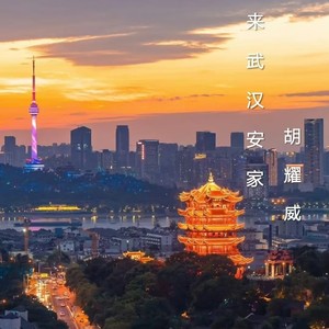 来武汉安家-DJ版