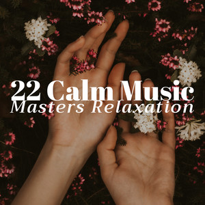 22 Calm Music Masters Relaxation CD: Calm Music Ensemble