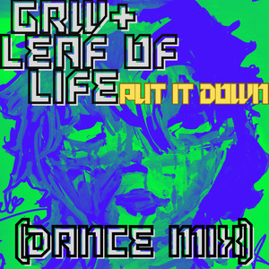 Put It Down (Dance Mix)